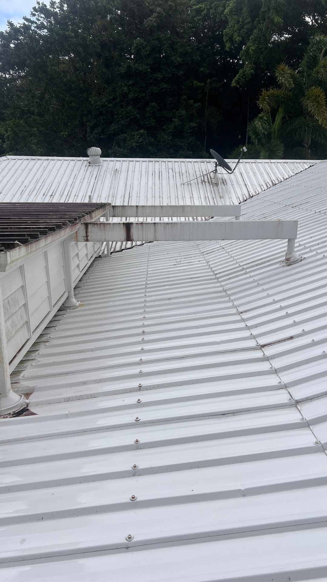 Fully restored white metal roof after cleaning